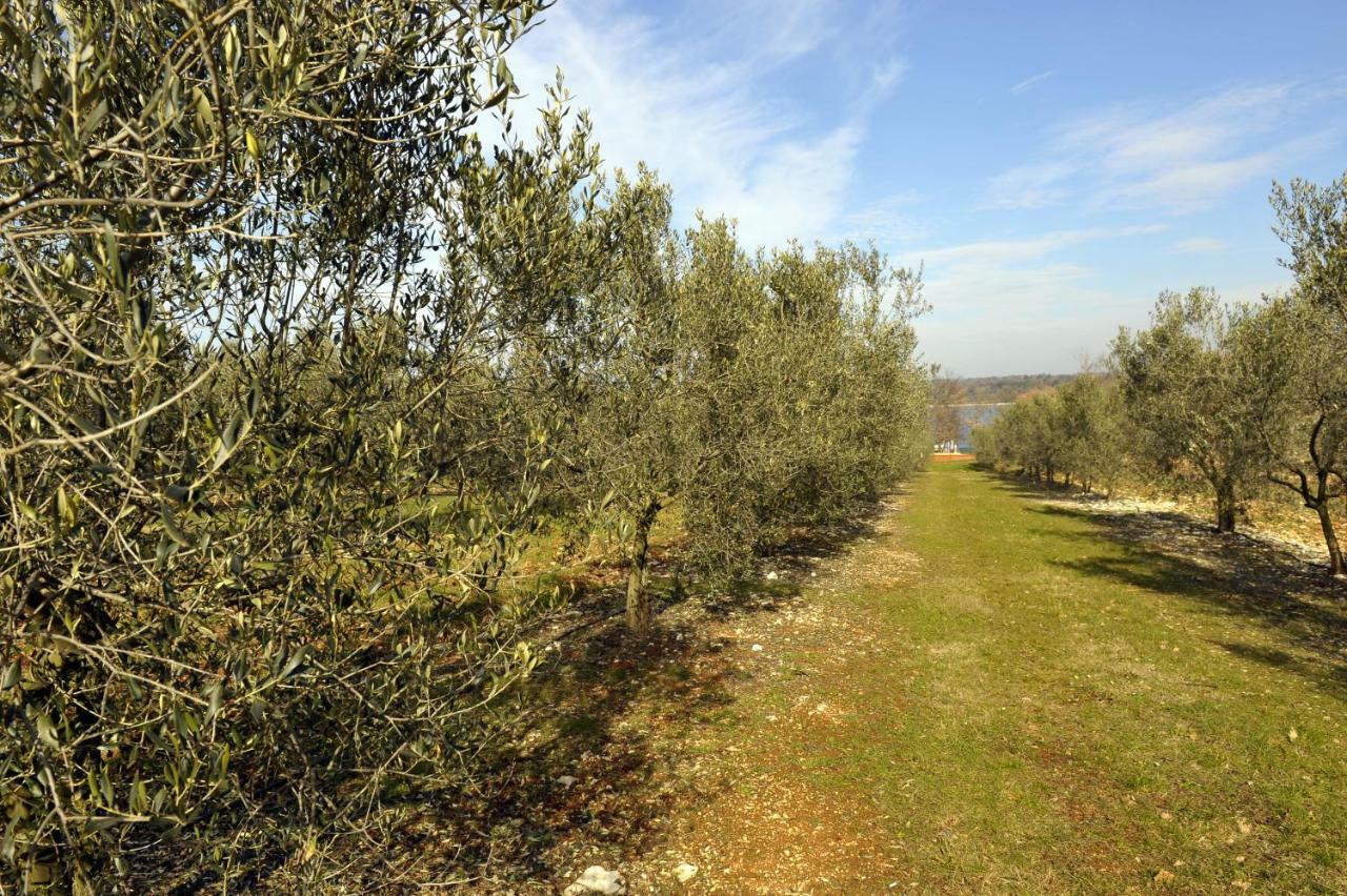 Holiday House Lena Porec Bagian luar foto